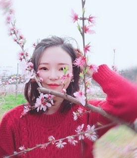 小桌子的第一张照片--闽南相亲网