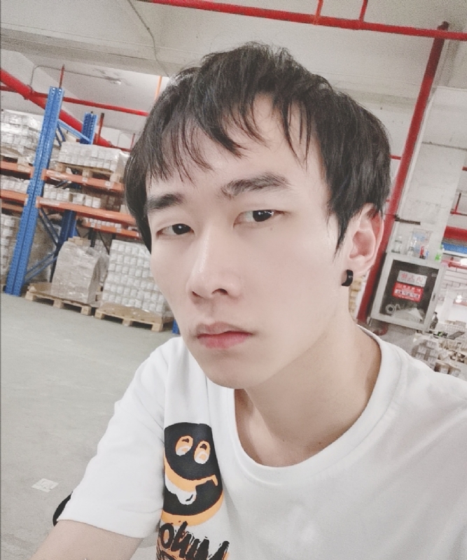 巷子里的猫的第一张照片--闽南相亲网