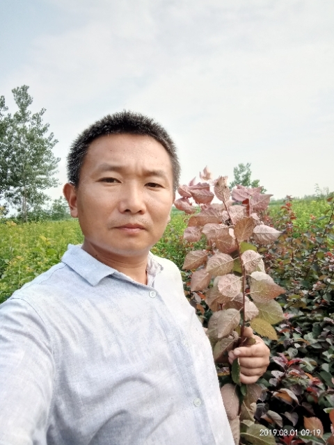 孩子爸的第一张照片--闽南相亲网