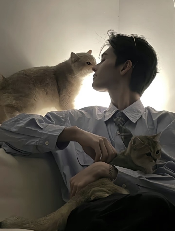 怪猫的第一张照片--闽南相亲网