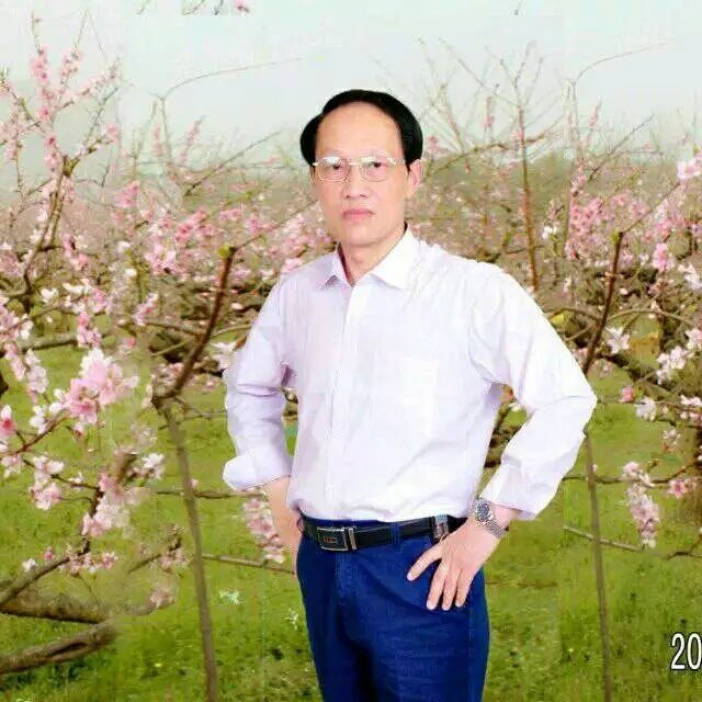 枫叶的第一张照片--闽南相亲网